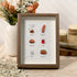 Breakfast Theme Bread Coffee Sea Glass Framed Art - Walnut Brown - 8" X 6" - image 4
