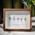 Wine is a panacea of all ill Sea Glass Framed Art - Walnut Brown - 6" X 8" - image 4