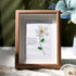 Teacher Gift Daisy Flower Sea Glass Framed Art - Walnut Brown - 8" X 6" - image 6