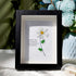 Teacher Gift Daisy Flower Sea Glass Framed Art - Black - 8" X 6" - image 4