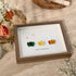 Happy Thanksgiving Pumpkin Sea Glass Framed Art - image 2