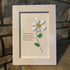 Teacher Gift Daisy Flower Sea Glass Framed Art - image 7