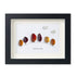 Fall In Love Autumn Trees Sea Glass Framed Art - Black - 6" X 8" - image 11