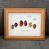 Fall In Love Autumn Trees Sea Glass Framed Art - image 5