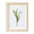 Lily Of The Valley Seaglass Card Artwork With Frame - Oak - 8" X 6" - image 7