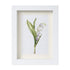 Lily Of The Valley Seaglass Card Artwork With Frame - White - 8" X 6" - image 10