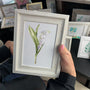 Lily Of The Valley Seaglass Card Artwork With Frame - image 0