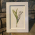 Lily Of The Valley Seaglass Card Artwork With Frame - image 6