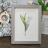 Lily Of The Valley Seaglass Card Artwork With Frame - image 3