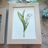 Lily Of The Valley Seaglass Card Artwork With Frame - image 2