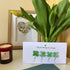 Four Leaf Clover Blessings Sea Glass Framed Art - Seaglass Card - 6" X 8" - image 1