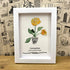 January Birth Flower Carnation Sea Glass Framed Art - image 2
