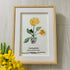 January Birth Flower Carnation Sea Glass Framed Art - image 0