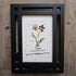 February Birth Flower Violet Sea Glass Framed Art - image 6
