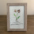 February Birth Flower Violet Sea Glass Framed Art - image 4