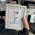 February Birth Flower Violet Sea Glass Framed Art - image 3