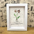 February Birth Flower Violet Sea Glass Framed Art - image 2