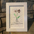 February Birth Flower Violet Sea Glass Framed Art - image 7