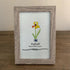 March Birth Flower Daffodil Sea Glass Framed Art - image 4