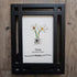 April Birth Flower Daisy Sea Glass Framed Art - image 6