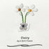 April Birth Flower Daisy Sea Glass Framed Art - image 8