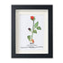 June Birth Flower Rose Sea Glass Framed Art - Black - 8" X 6" - image 11