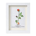 June Birth Flower Rose Sea Glass Framed Art - White - 8" X 6" - image 12