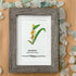 August Birth Flower Gladiolus Sea Glass Framed Art - image 4