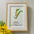 August Birth Flower Gladiolus Sea Glass Framed Art - image 0