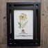 October Birth Flower Cosmo Sea Glass Framed Art - image 6