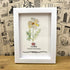 October Birth Flower Cosmo Sea Glass Framed Art - image 4