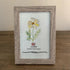 October Birth Flower Cosmo Sea Glass Framed Art - image 5