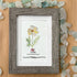 October Birth Flower Cosmo Sea Glass Framed Art - image 3