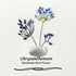 November Birth Flower Chrysanthemum Sea Glass Framed Art - image 7
