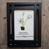 December Birth Flower Paperwhites Sea Glass Framed Art - image 5