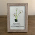 December Birth Flower Paperwhites Sea Glass Framed Art - image 6