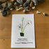 December Birth Flower Paperwhites Sea Glass Framed Art - Seaglass Card - 8" X 6" - image 1