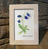 Elegant Blue Campanula Barbata Sea Glass Framed Art - image 5