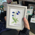 Elegant Blue Campanula Barbata Sea Glass Framed Art - image 0