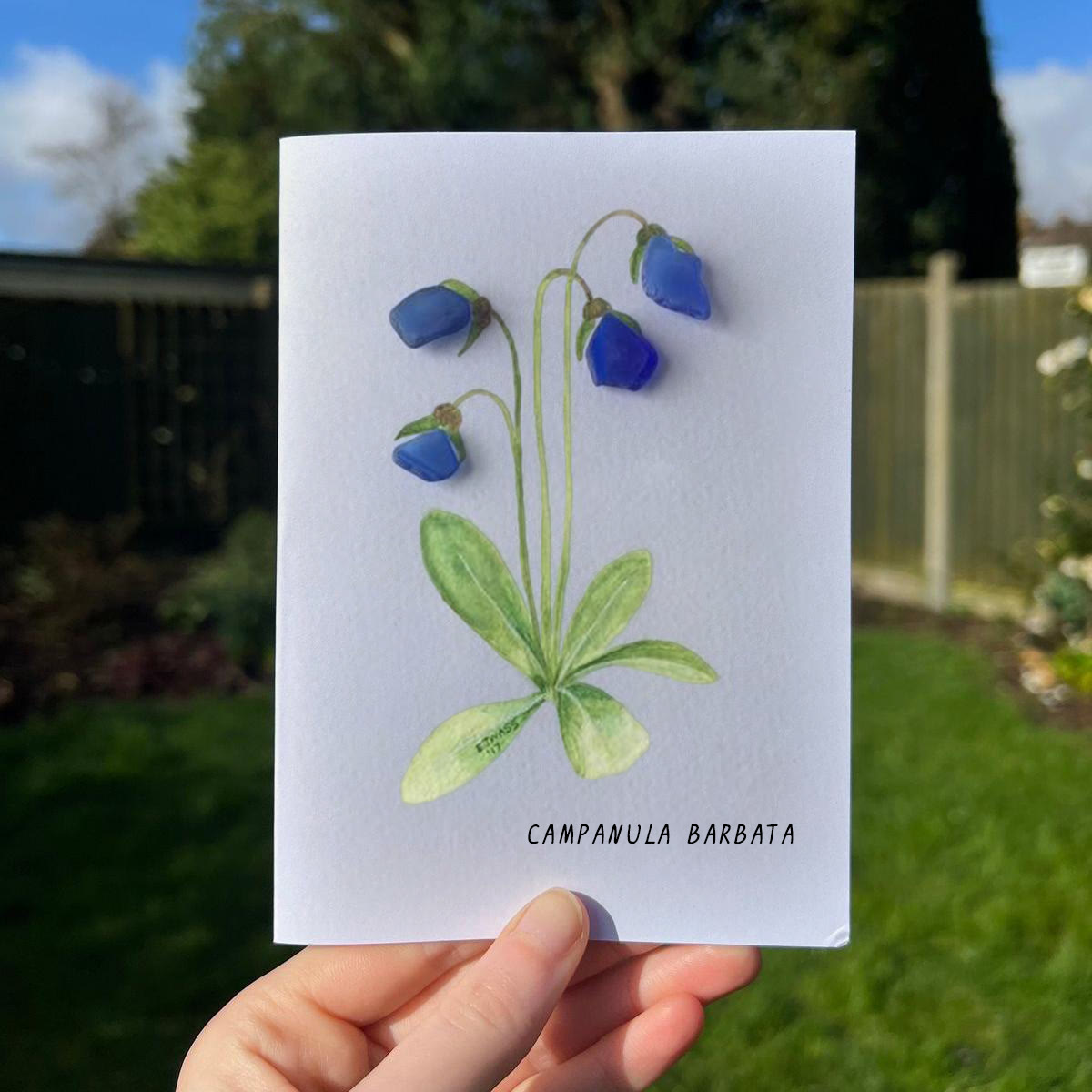 Elegant Blue Campanula Barbata Sea Glass Framed Art - Seaglass Card - 8" X 6" - image 1