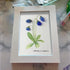 Elegant Blue Campanula Barbata Sea Glass Framed Art - image 6