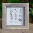 Under The Sea Marine Life Nursery Sea Glass Framed Art - image 4