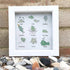 Under The Sea Marine Life Nursery Sea Glass Framed Art - image 5