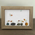Coastal Bird Gathering Sea Glass Framed Art - image 6