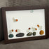 Coastal Bird Gathering Sea Glass Framed Art - image 0