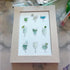Coastal Cocktails Beachy Drink Sea Glass Framed Art - image 4