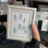 Ocean Drift Coastal Jellyfish Sea Glass Framed Art - image 0