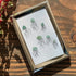 Ocean Drift Coastal Jellyfish Sea Glass Framed Art - image 9