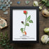 June Birth Flower Rose Sea Glass Framed Art - Black - 8" X 6" - image 11