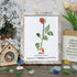 June Birth Flower Rose Sea Glass Framed Art - Retro White - 8" X 6" - image 13